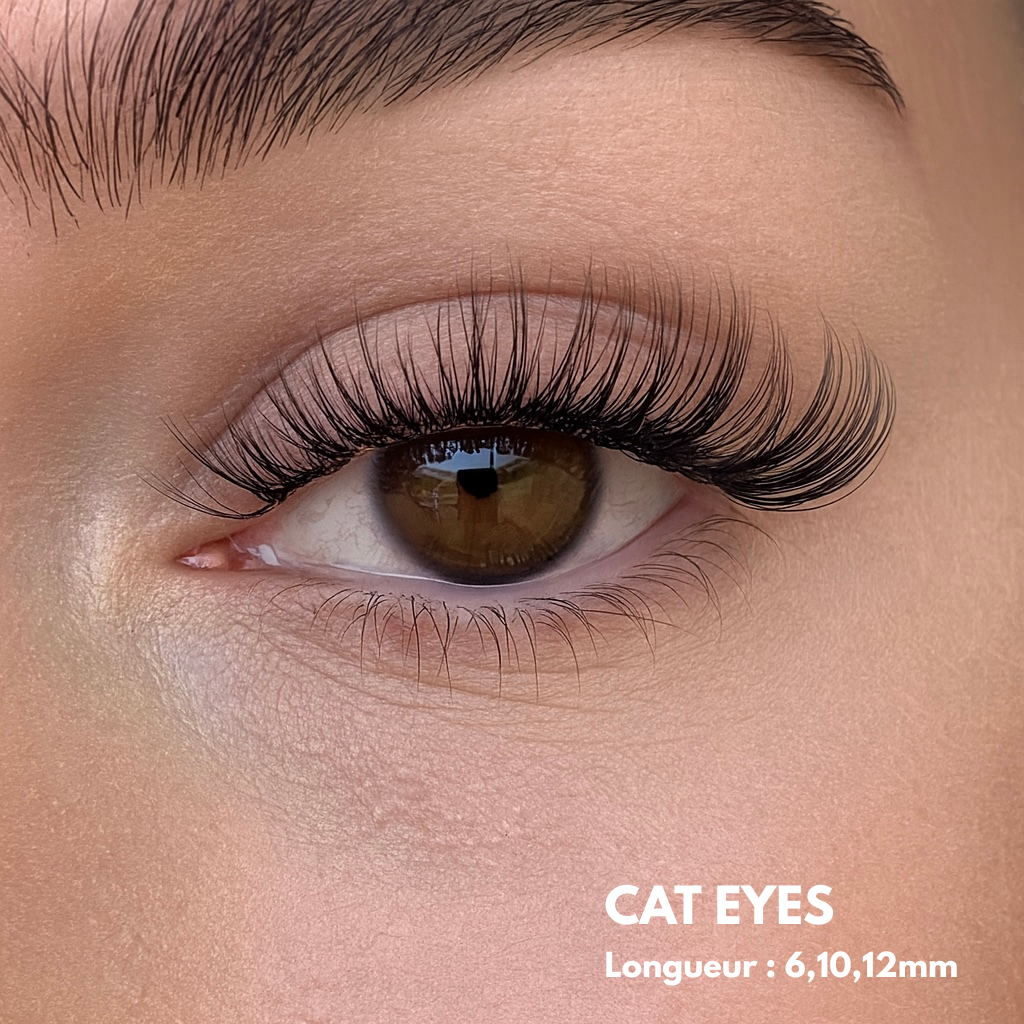 Faux Cils Magnétiques
