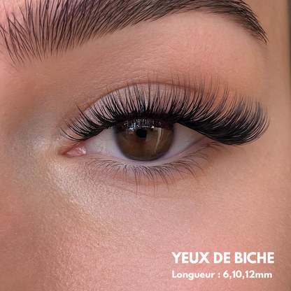 Faux Cils Magnétiques